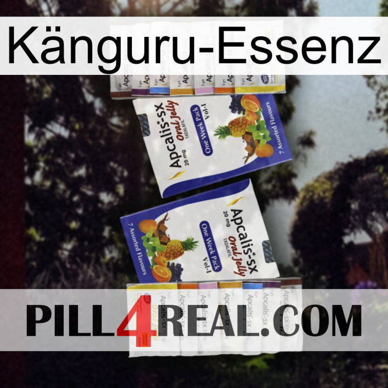 Känguru-Essenz 12